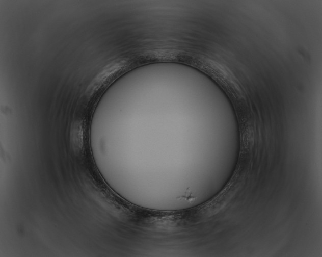 X0000090700120200708031421