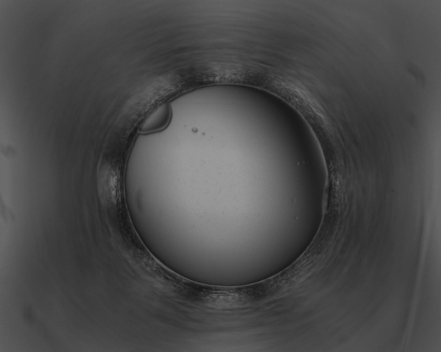 X0000090700123200708031421