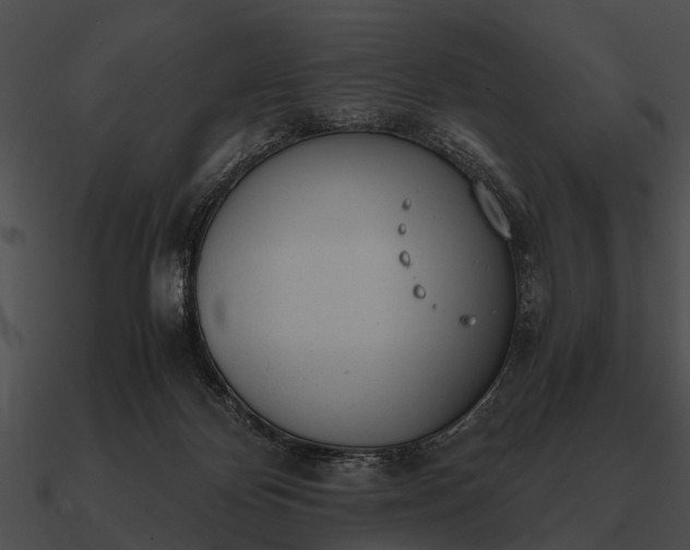 X0000090700124200708031421