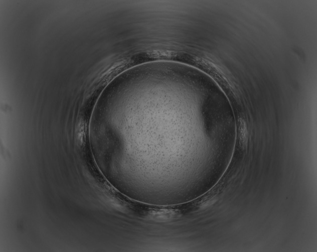 X0000090700125200708031421