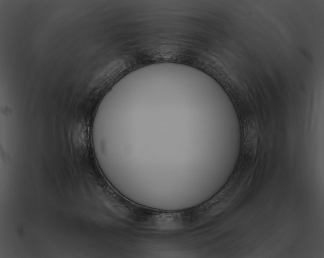 X0000090700126200708031421