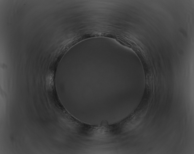 X0000090700127200708031421