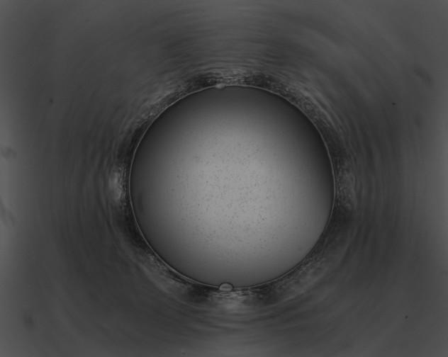 X0000090700131200708031421