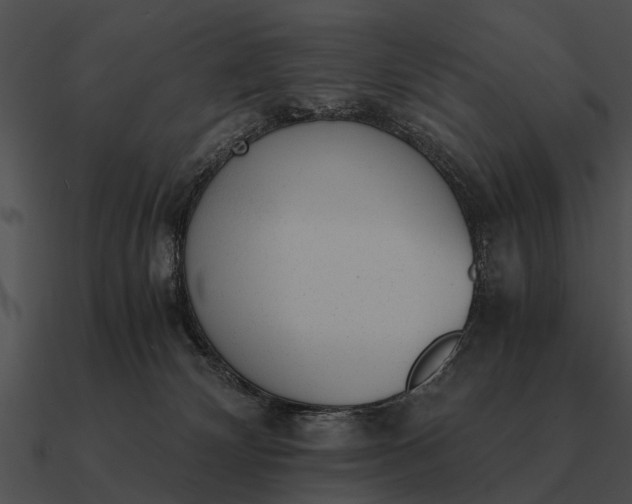 X0000090700132200708031421