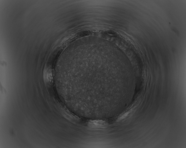 X0000090700137200708031421