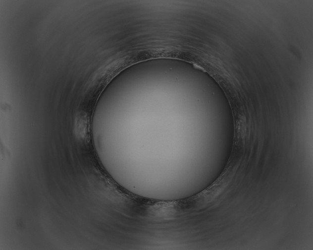 X0000090700138200708031421