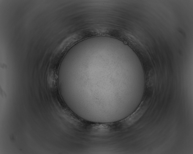 X0000090700140200708031421