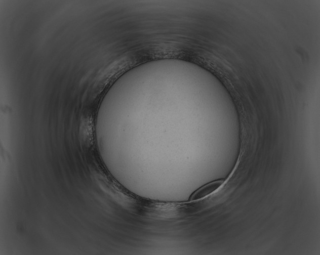 X0000090700144200708031421