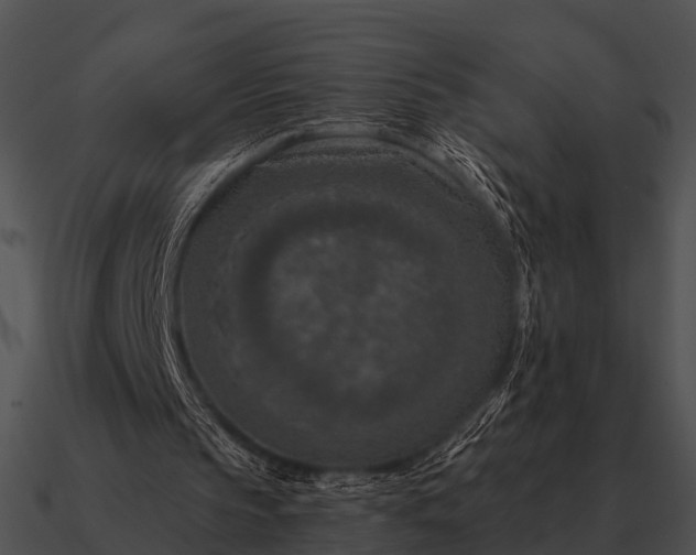 X0000090700145200708031420