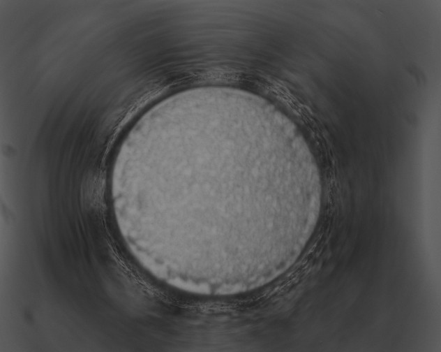 X0000090700146200708031420