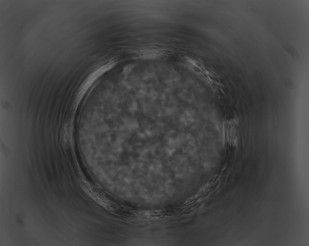 X0000090700147200708031420