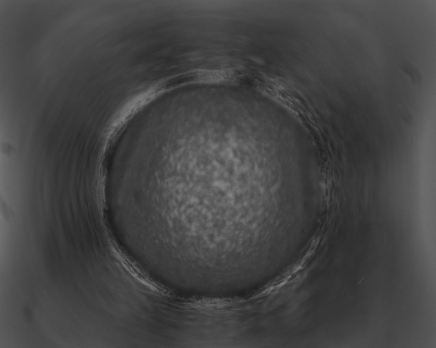 X0000090700149200708031420