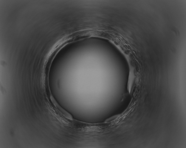 X0000090700150200708031420