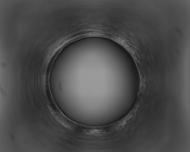 X0000090700151200708031420