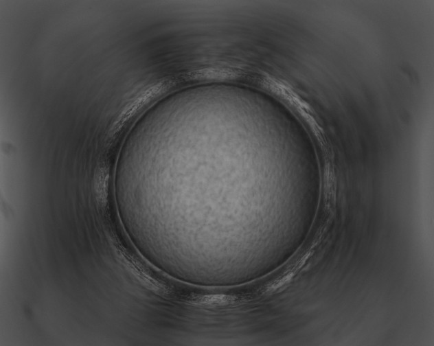 X0000090700153200708031420