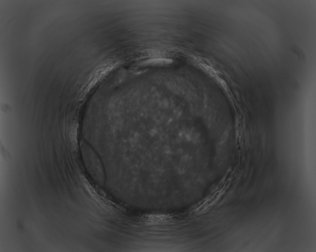 X0000090700154200708031420