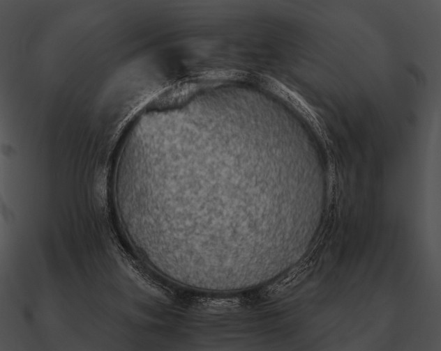 X0000090700155200708031420