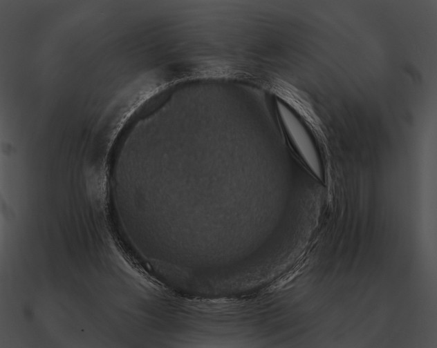 X0000090700156200708031420