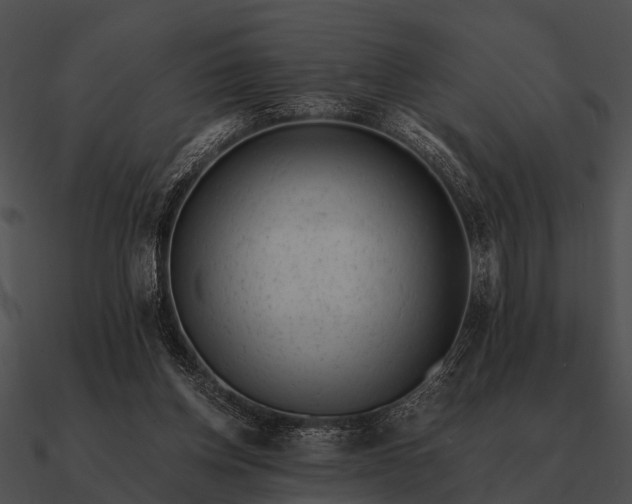 X0000090700158200708031420