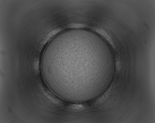 X0000090700159200708031420