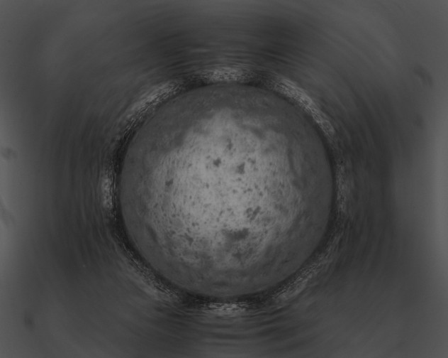 X0000090700161200708031420