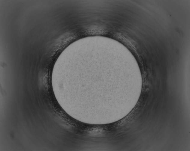 X0000090700162200708031420