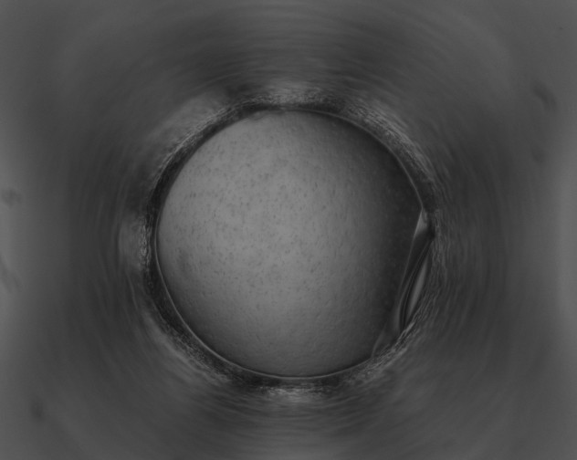 X0000090700164200708031420