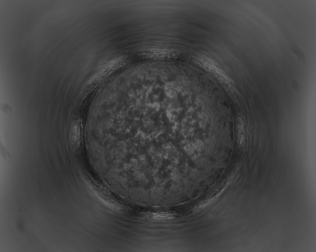 X0000090700165200708031420