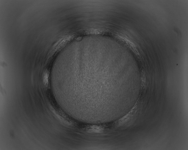 X0000090700166200708031420