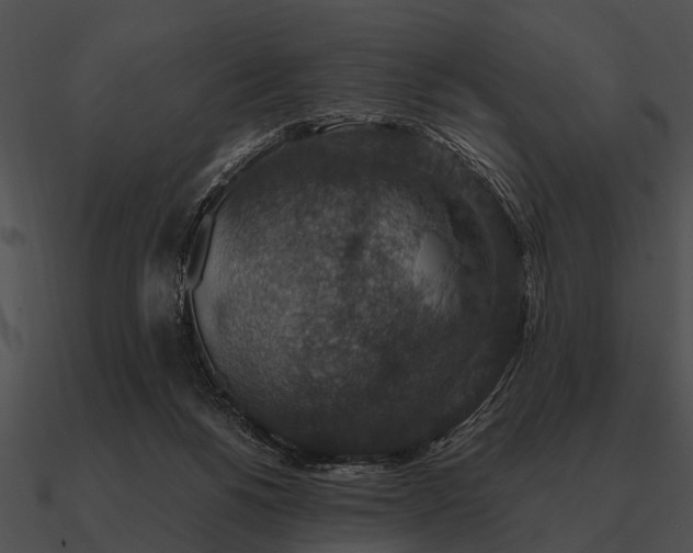 X0000090700168200708031420