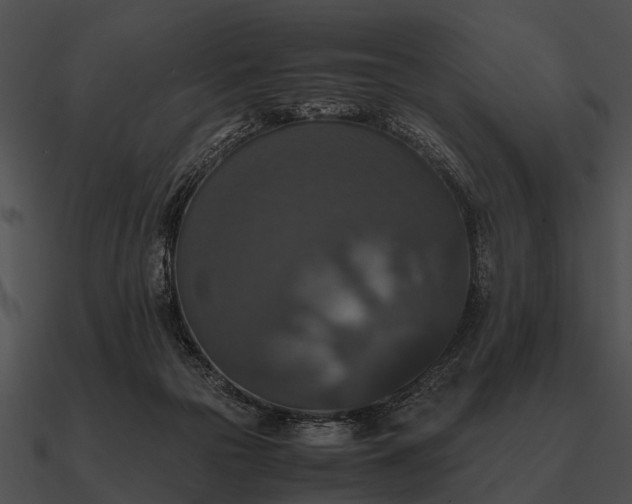 X0000090700169200708031420