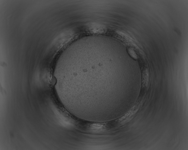 X0000090700176200708031420