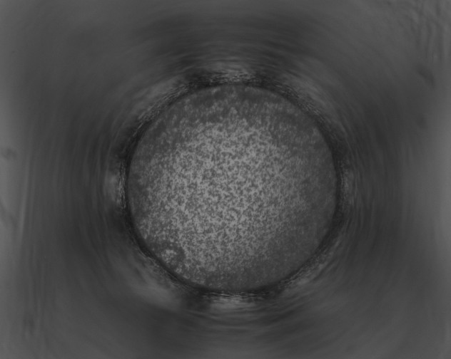 X0000090700177200708031420