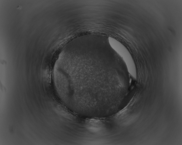 X0000090700180200708031420