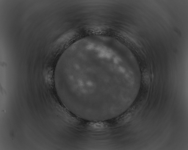 X0000090700181200708031420