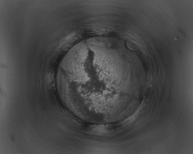 X0000090700182200708031420