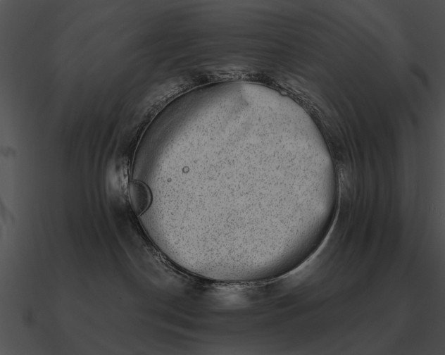 X0000090700190200708031420