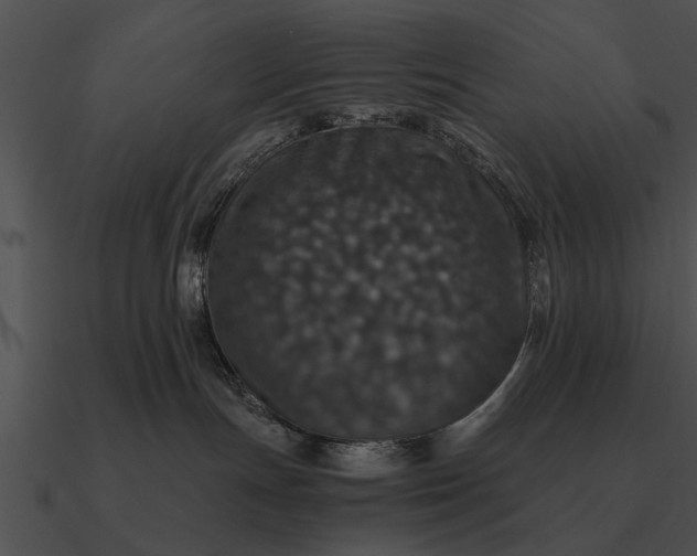 X0000090700191200708031421