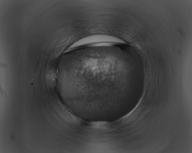 X0000090700192200708031421