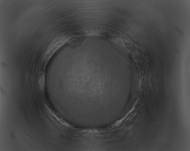 X0000090700194200708031420