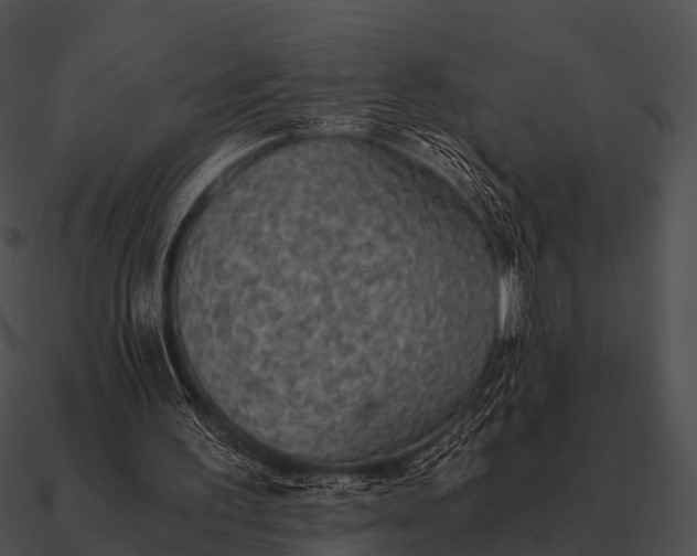 X0000090700195200708031420