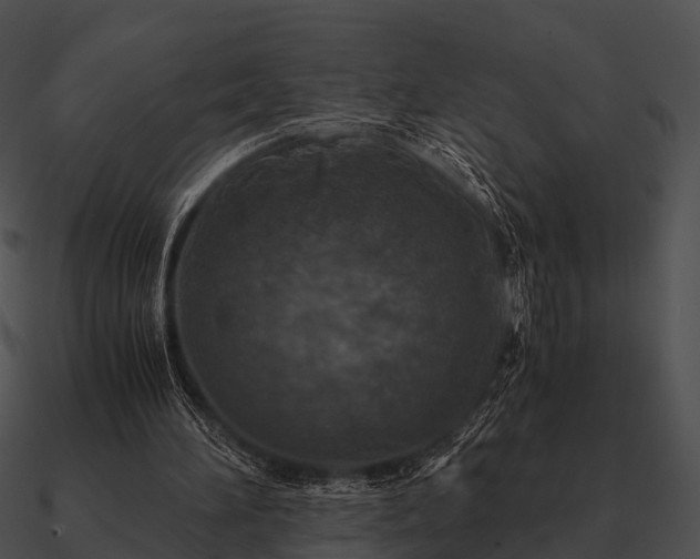 X0000090700196200708031420