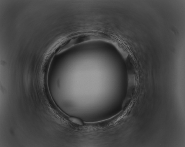 X0000090700197200708031420