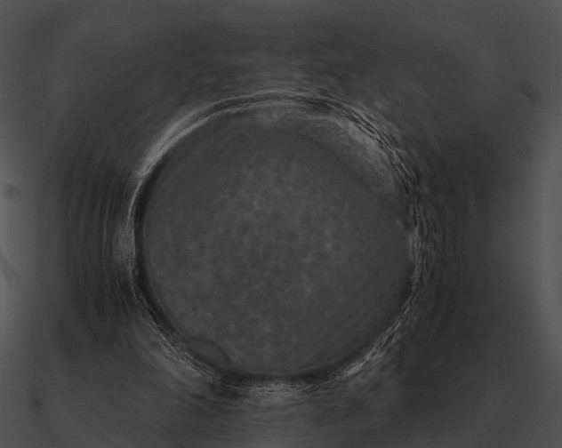 X0000090700198200708031420