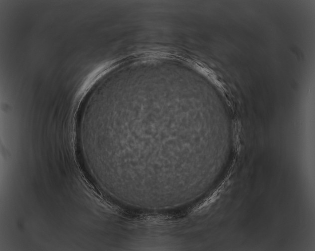 X0000090700199200708031420