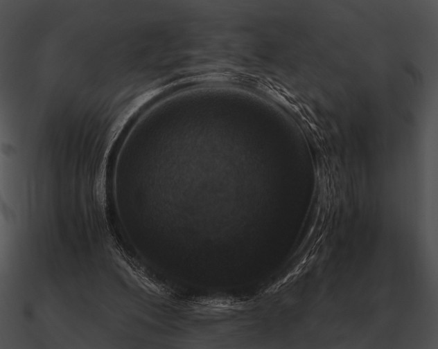 X0000090700200200708031420