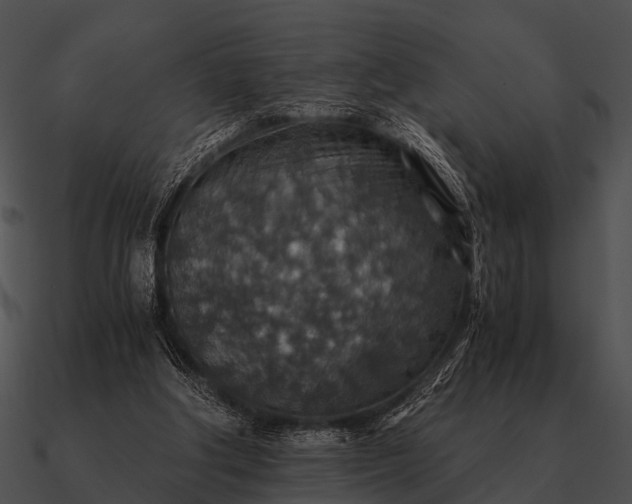 X0000090700202200708031420