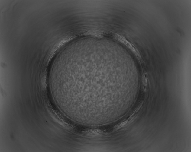 X0000090700203200708031420