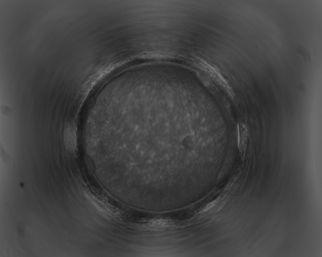 X0000090700204200708031420