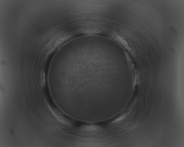 X0000090700205200708031420